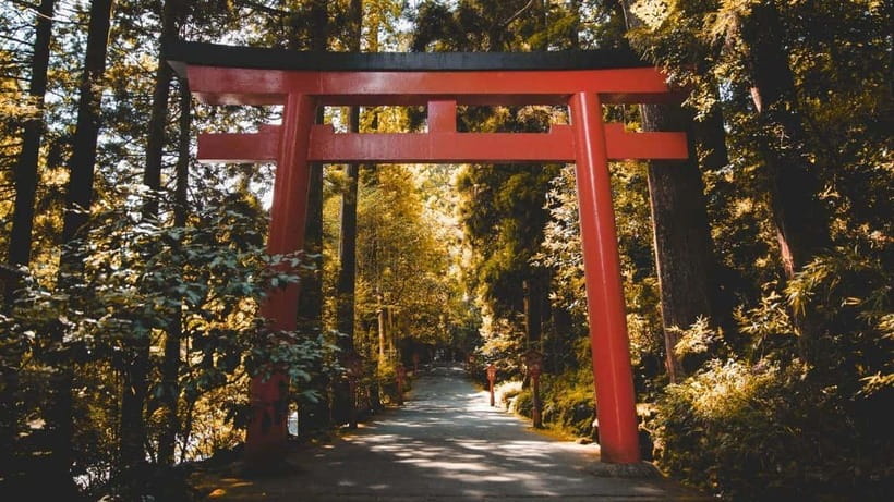 From Tokyo: Private Mt. Fuji and Hakone Tour by Car - Heiwa no Torii and final lakeside feeling