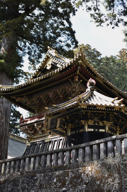 From Tokyo: Private Nikko World Heritage Sights Day Trip - Pickup, van ride, and what the guides actually do