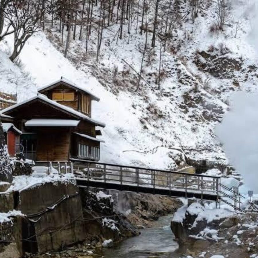 From Tokyo: Private Tour Snow Monkey Park & Zenko-ji Temple - Price Check: When $445 for Up to 6 Makes Sense