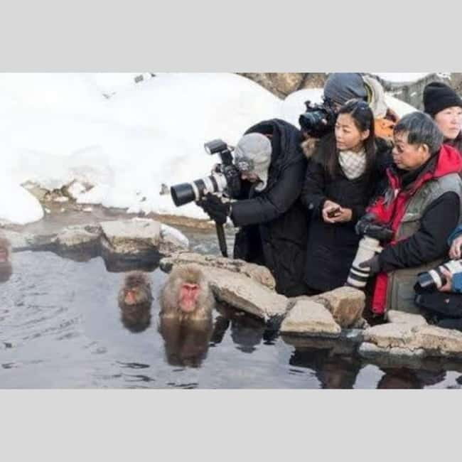 From Tokyo: Snow Monkey Park and Miso Production Day Tour - The guide, the driving, and the little safety details