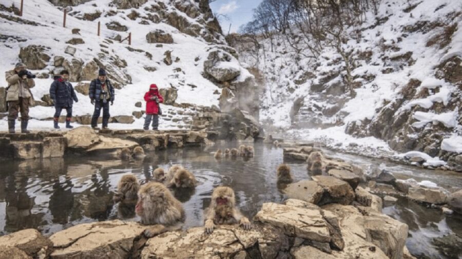 From Tokyo: Snow Monkey Park and Miso Production Day Tour - Stop 3: Matsushiro Castle Ruins, feudal echoes without the crowds
