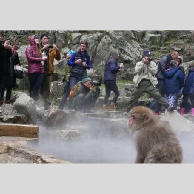 From Tokyo: Snow Monkey Park and Miso Production Day Tour - Stop 4: Obuse, miso production town with time to snack and browse