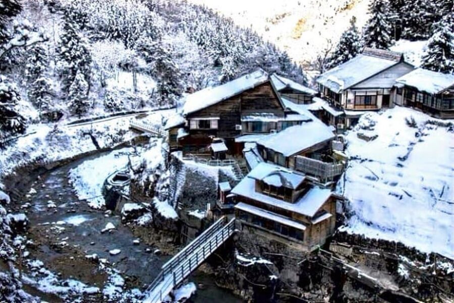 From Tokyo: Snow Monkey Private Customize Day Tour - Shibu Onsen and Obuse Breaks: Variety Without the Planning Burden