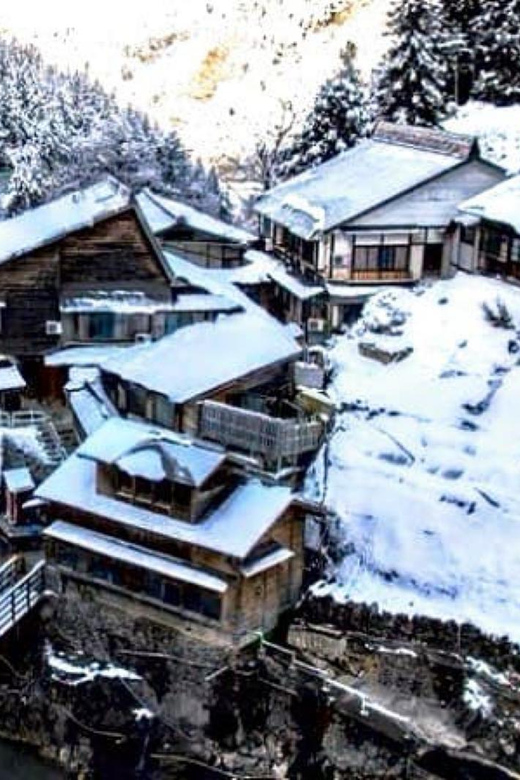 From Tokyo: Snow Monkey Private Customize Day Tour - Matsumoto and Matsushiro Castle Ruins: Town Energy Plus a Historic Stop