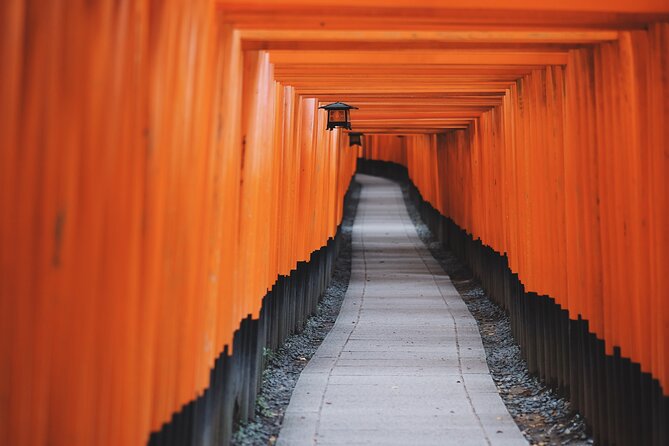 From Tokyo to Kyoto and Nara: A Captivating Full-Day Private Tour - Getting Around Kyoto and Nara Without the Usual Headache