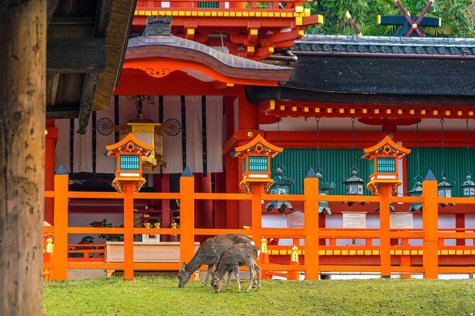 From Tokyo to Kyoto and Nara: A Captivating Full-Day Private Tour - Todaiji Temple Cultural Center, Kasuga Shrine Areas, and the Great Buddha