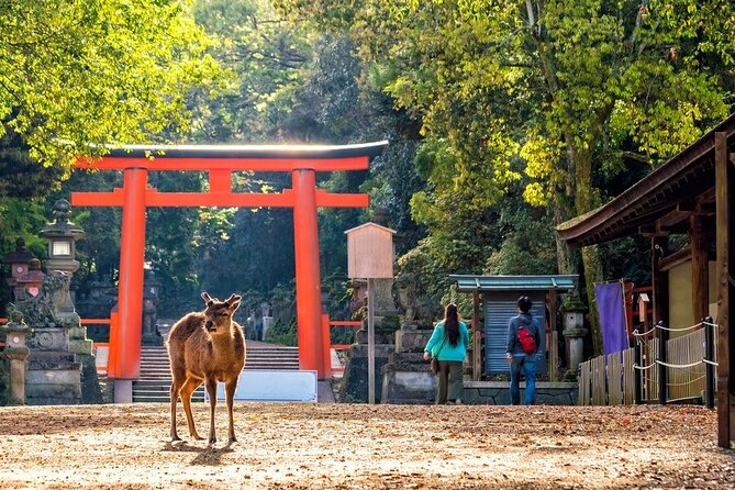 From Tokyo to Kyoto and Nara: A Captivating Full-Day Private Tour - Gion Walking: Machiya Streets and Geisha District Flavor