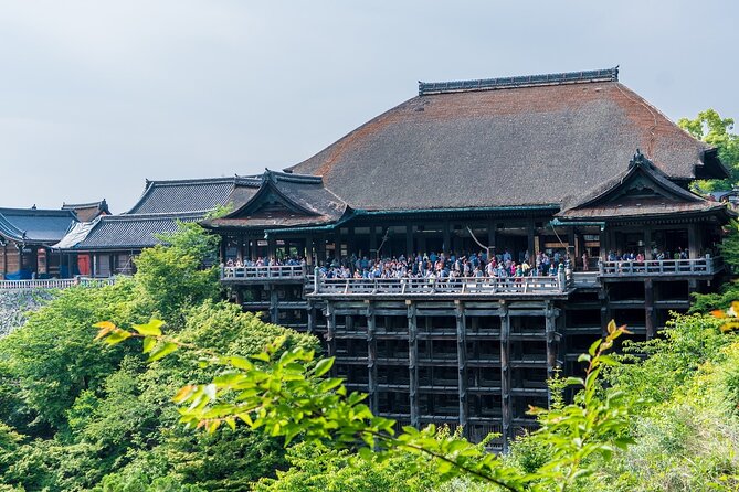 From Tokyo to Kyoto and Nara: A Captivating Full-Day Private Tour - Stop 1 in Nara Park: Deer, Shade, and a Slower Pace