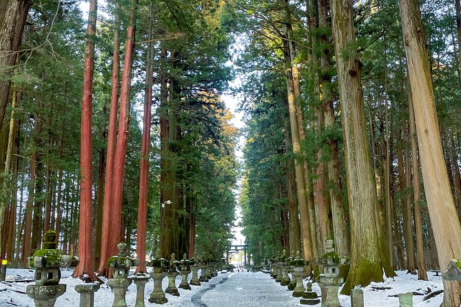 From Tokyo to Mount Fuji! Private Car Tour by Eng Speaking Driver - Why a private car beats bus and train juggling to Mount Fuji