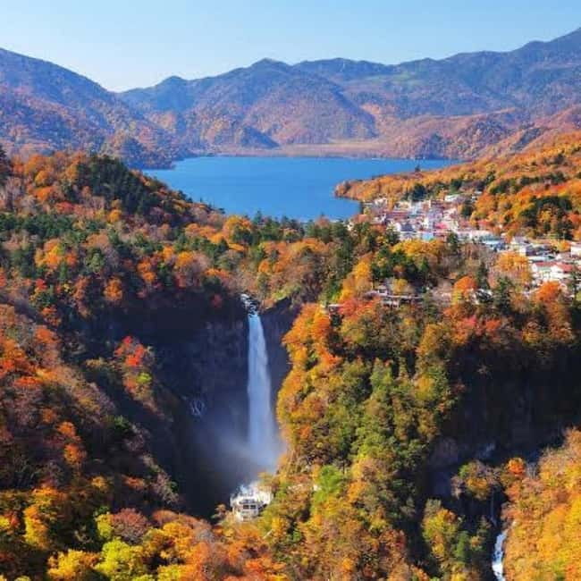 From Tokyo To Nikko Private Day Tour With English Guide - Why This Tokyo to Nikko Private Tour Works for Real Schedules