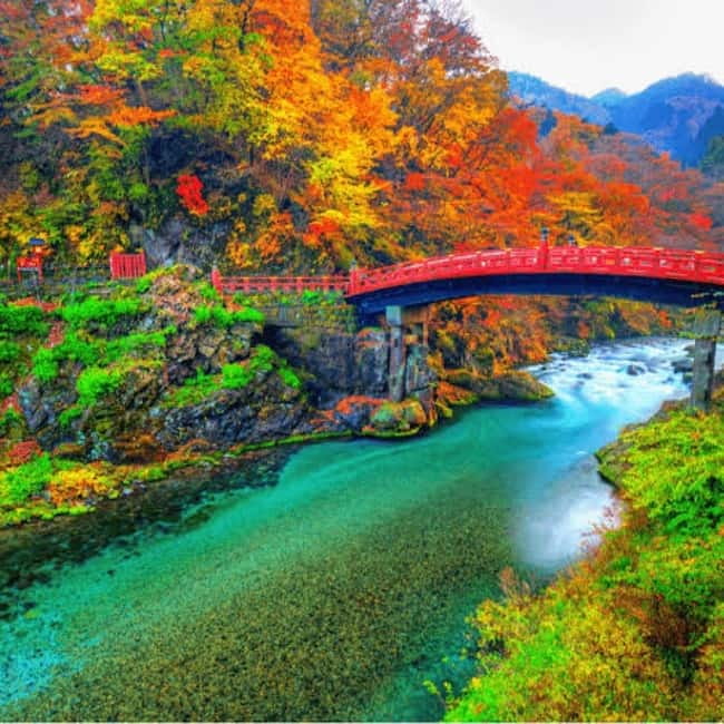 From Tokyo To Nikko Private Day Tour With English Guide - Lake Chūzenji: Your Scenic Warm-Up With a Tight Time Window