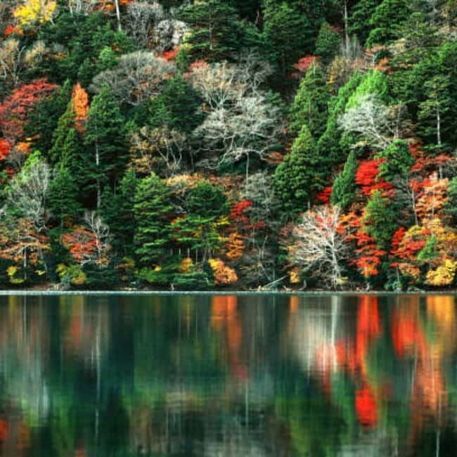 From Tokyo To Nikko Private Day Tour With English Guide - Shinkyo Bridge: The Iconic Photo Stop You Shouldn’t Rush