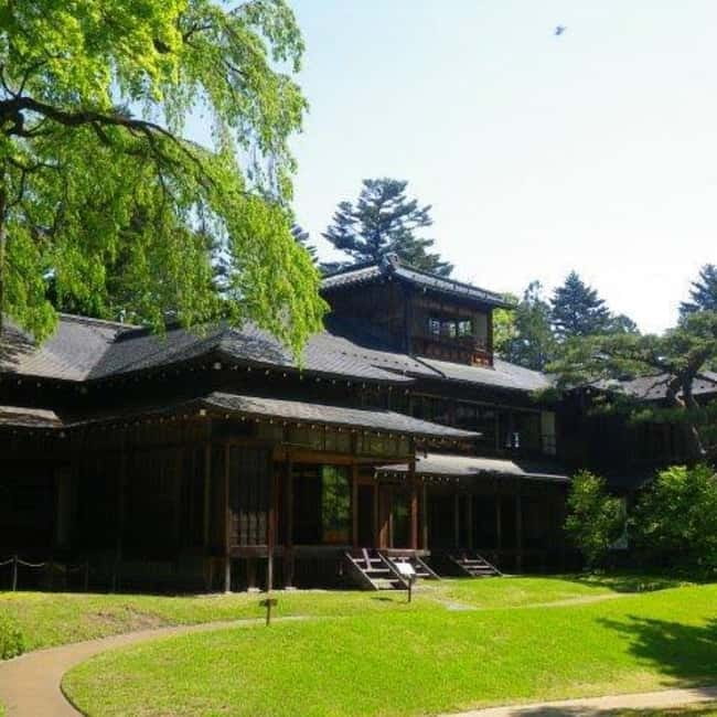 From Tokyo To Nikko Private Day Tour With English Guide - Nikko Break Time: A 1-Hour Reset in the Town