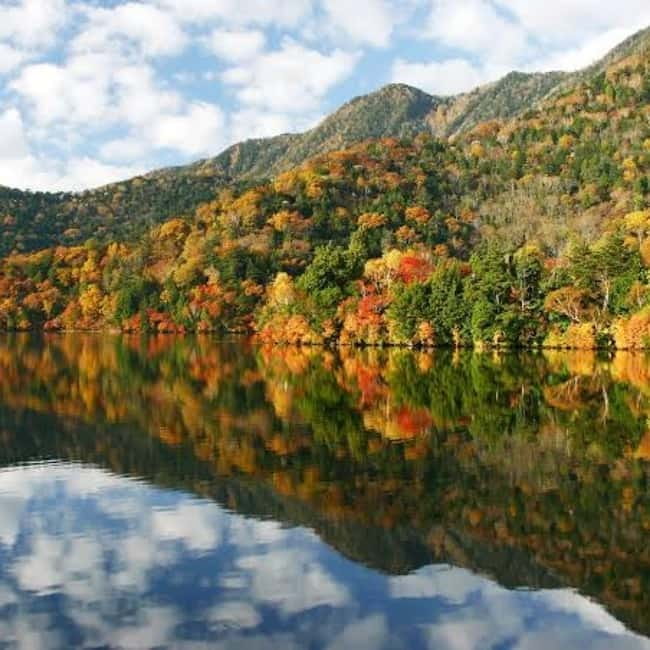From Tokyo To Nikko Private Day Tour With English Guide - Edo Wonderland: A Focused Hour to Explore the Area