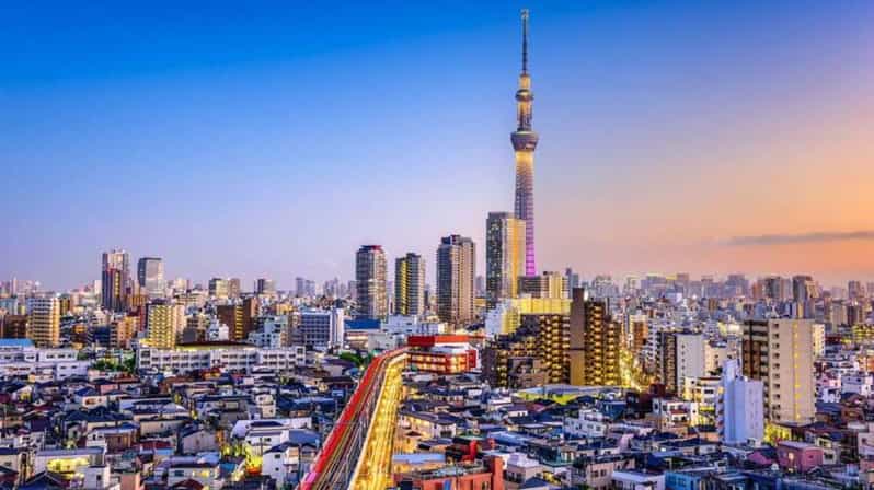 From Tokyo: Tokyo Private Customize Tour With English Driver - Why a private Tokyo car beats rail for a first day