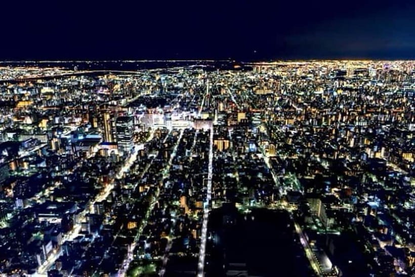 From Tokyo: Tokyo Private Customize Tour With English Driver - Imperial Palace and East Gardens: a calmer side of Tokyo
