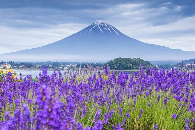 From Tokyo: Top 5 Scenic Spots of Mount Fuji Full-Day Tour - A Fuji photo day with five different viewpoints