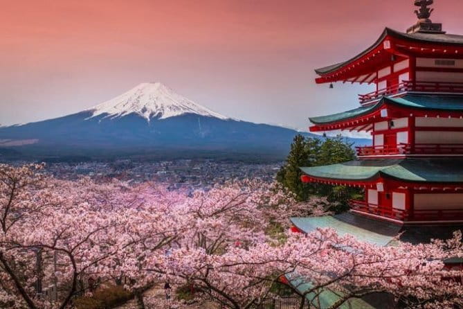 Fuji and Lake Kawaguchi Tour - Key highlights to plan around