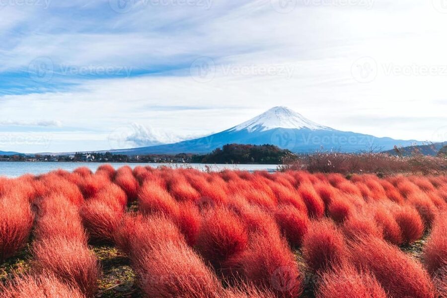 Fuji/Hakone Private Tour, English speaking guide, Photograph - A Private Fuji and Hakone Day With Pickup Choices and Photo-Friendly Comfort