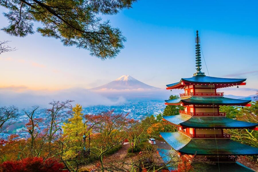 Fuji/Hakone Private Tour, English speaking guide, Photograph - Mt. Fuji 5th Station and Chureito Pagoda: Icon Stops With Weather in the Driver’s Seat