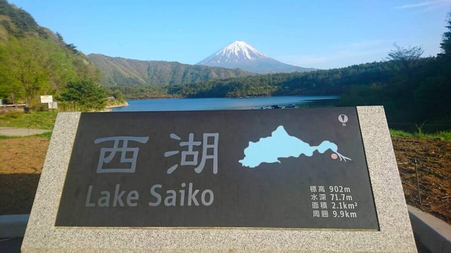 Fuji/Hakone Private Tour, English speaking guide, Photograph - Price and Value: Why a Private Day Costs $357