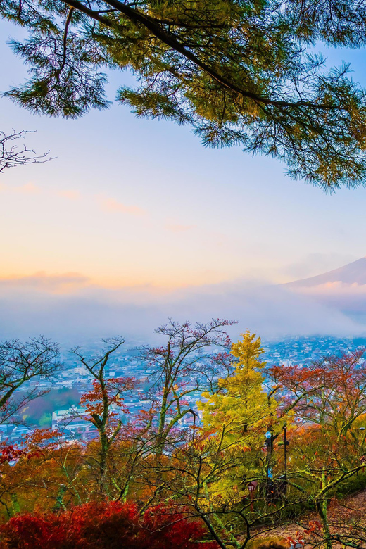 Fuji/Hakone Private Tour, English speaking guide, Photograph - Oshino Hakkai Ponds: Fuji Reflections Start the Day Calm