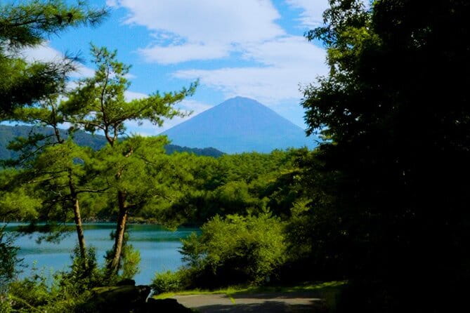 Fuji Photo Tour - Lake Kawaguchiko: your warm-up for Fuji framing