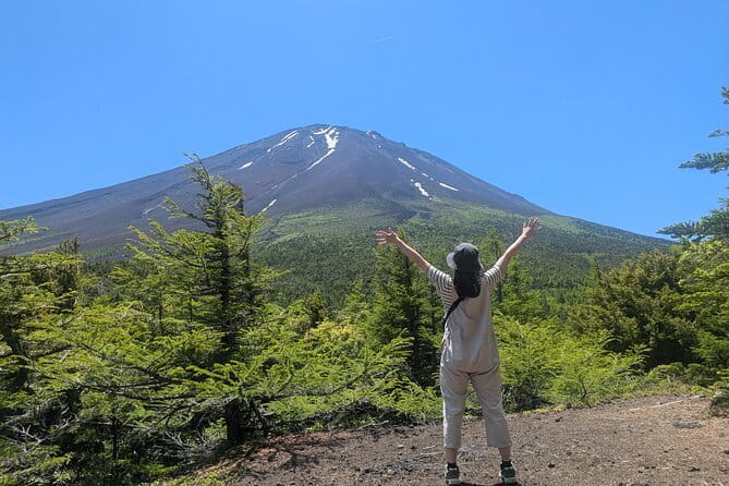 Fuji Photo Tour - Aokigahara forest: lava formations and moody stillness