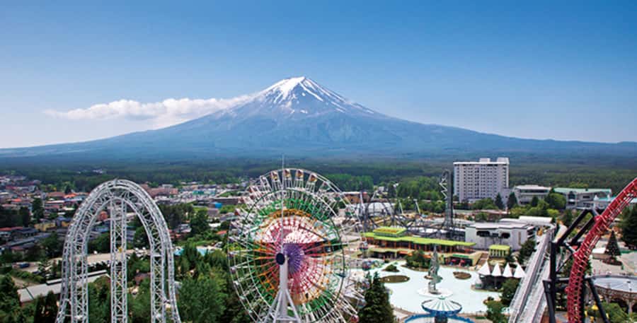 Fuji-Q Highland Amusement Park: 1 Day private tour by Car - Who this is best for, and who should skip it