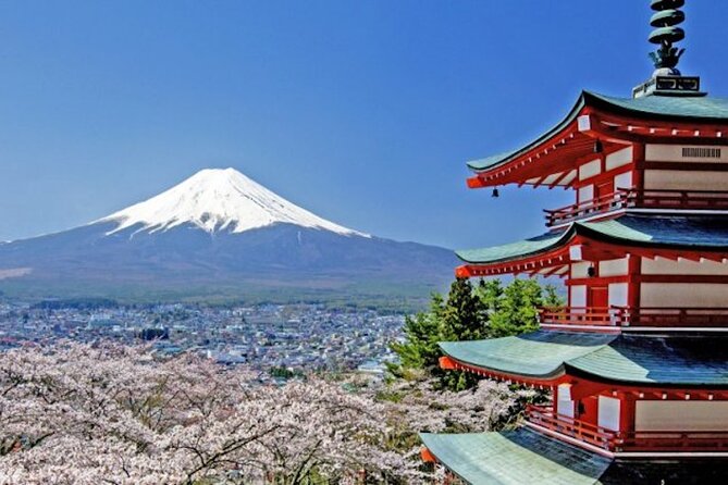 Fuji Speedway Self Drive & Mt. Fuji Private Tour pickup & dropoff - Key highlights at a glance