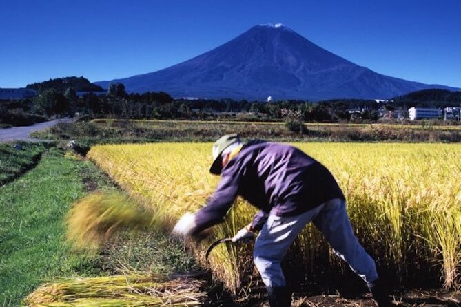Fuji Speedway Self Drive & Mt. Fuji Private Tour pickup & dropoff - Price and value: what your $292.64 really buys, plus the extras
