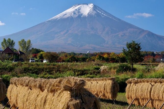 Fuji Speedway Self Drive & Mt. Fuji Private Tour pickup & dropoff - Who should book this Mt. Fuji and Fuji Speedway private tour