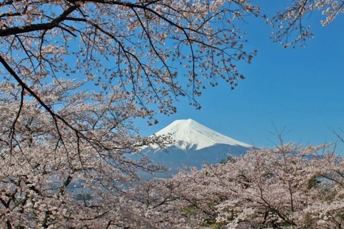 Fuji Speedway Self Drive & Mt. Fuji Private Tour pickup & dropoff - Should you book? My practical take