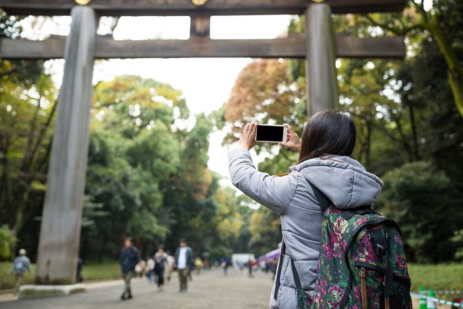 Full-Day Guided Private Tour in Tokyo, Japan - Yoyogi Park and a picnic plan that bends with the weather