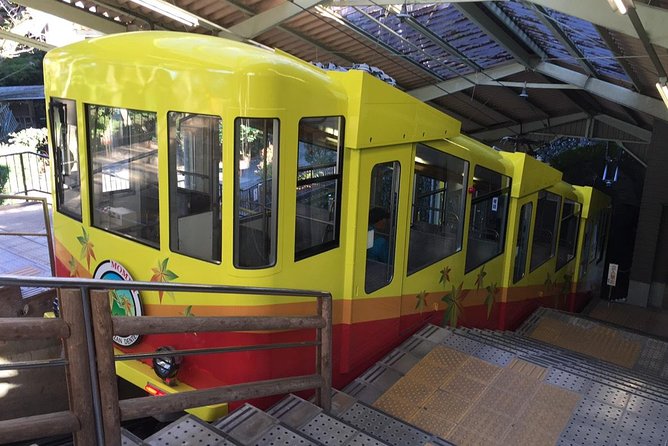 Full Day Hiking Tour at Mt.Takao including Hot Spring - Downhill strategy: how the cable car and chairlift fit in