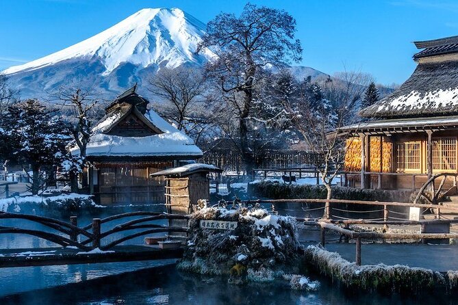 Full Day Private Tour in Mt. Fuji and Hakone - Key highlights to care about before you book