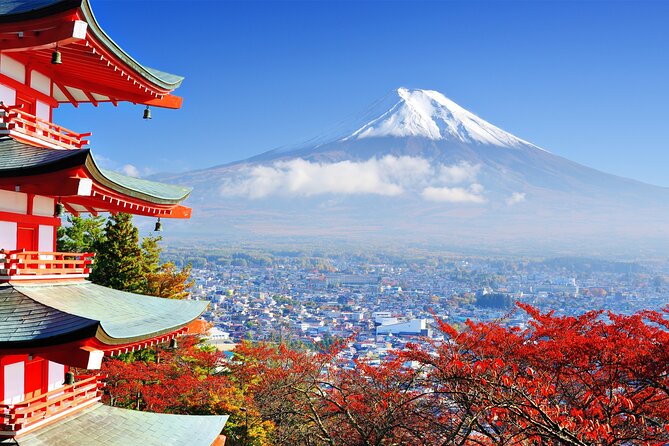 Full Day Private Tour in Mt. Fuji and Hakone - Oshino Hakkai springs: a calmer Fuji base stop