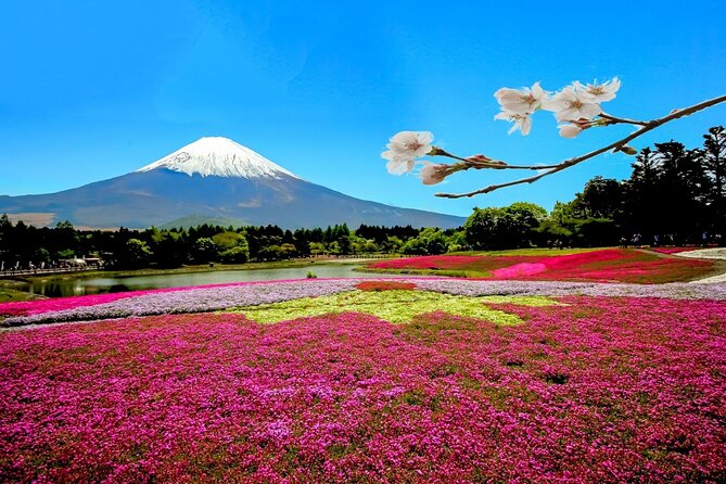 Full Day Private Tour in Mt. Fuji and Hakone - Hakone by water at Lake Ashinoko