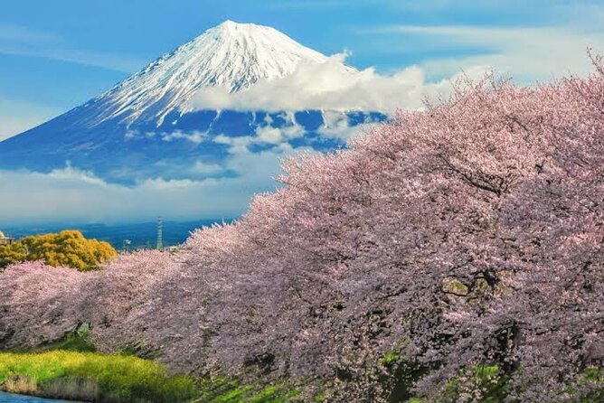 Full Day Private Tour of Mt Fuji - Saiko Iyashi no Sato Nemba: old houses, crafts, and costumes