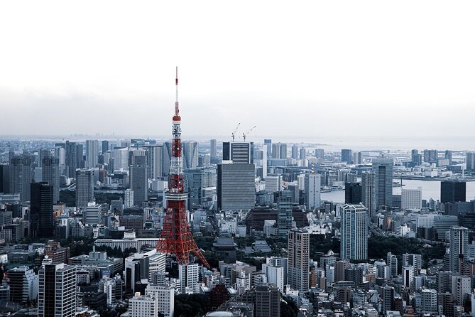 Full-Day Private Tour to Discover The Best of Tokyo - Ameyoko and Ueno Park: street-market shopping plus a breather