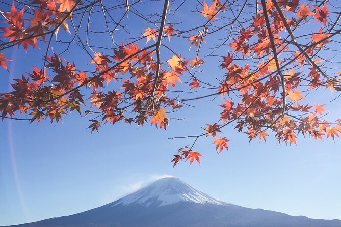 Full Day Private Tour to Mt Fuji by Luxury Vehicle - Why This Mt. Fuji Day Feels Like a Vacation, Not a Chore