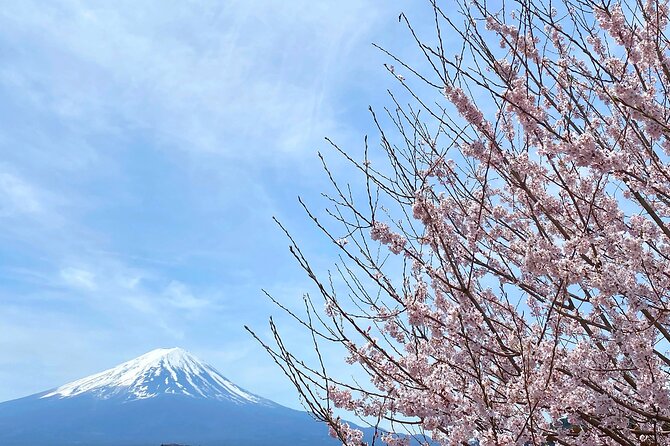 Full Day Private Tour to Mt Fuji by Luxury Vehicle - Stop 2: Oshino Hakkai, Thatched Roof Charm and 8 Springs