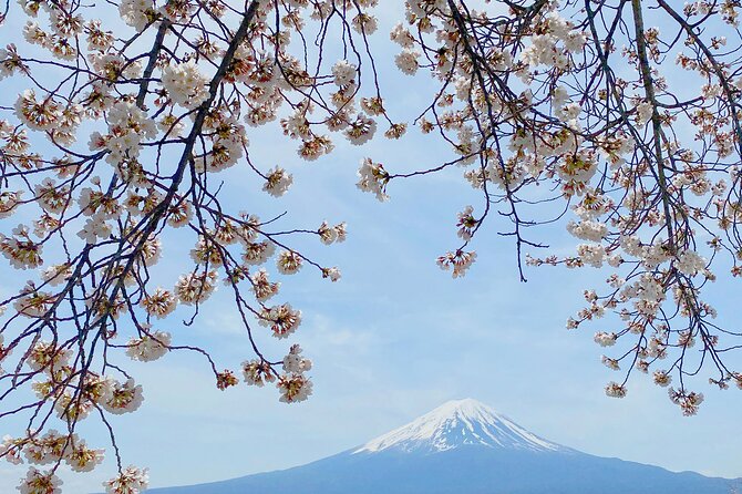 Full Day Private Tour to Mt Fuji by Luxury Vehicle - Stop 3: Houtou Fudou and Why This Noodle Stop Matters