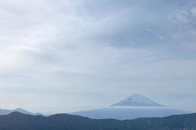 Full Day Private Tour to Mt Fuji by Luxury Vehicle - Stop 4: Saiko Iyashi no Sato Nemba, Traditional Houses by Lake Saiko