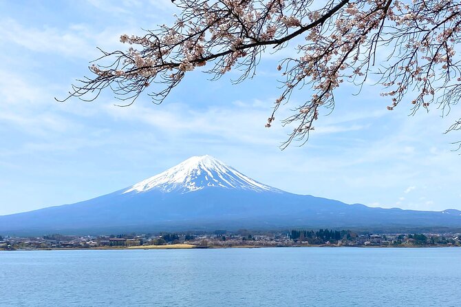 Full Day Private Tour to Mt Fuji by Luxury Vehicle - Stop 5: Kitaguchi Hongu Fuji Sengen Jinja Shrine and Cedar Forest Atmosphere