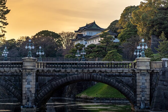 Full Day Tokyo Private Tour by Luxury Vehicle - Why a private luxury van beats public transit for a first Tokyo day