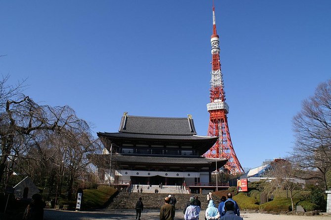 Full Day Tokyo Tour, From/To Tokyo,Yokohama, Narita, 2- 12 guests - Why this private Tokyo day feels efficient