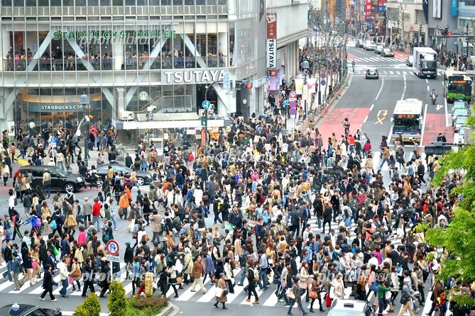Full Day Tokyo Tour, From/To Tokyo,Yokohama, Narita, 2- 12 guests - Ginza lunch time: where your guide helps you choose