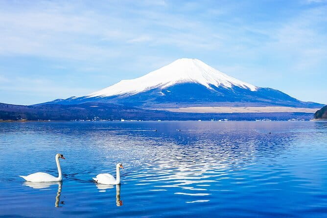Full Day Tour at Mt. Fuji, Onsen, Lake Kawaguchi and Yamanaka - Key Highlights You Will Actually Care About