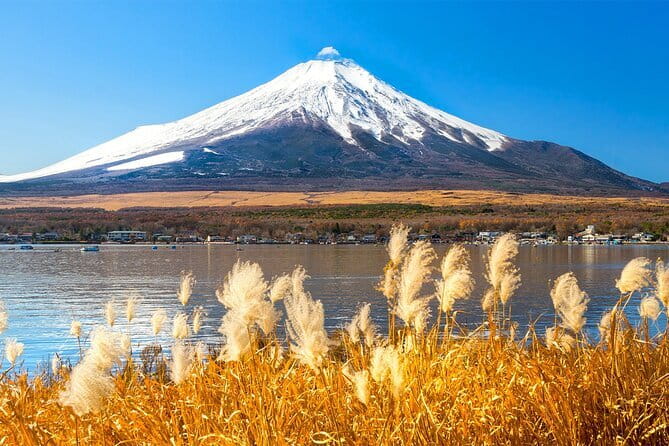 Full Day Tour at Mt. Fuji, Onsen, Lake Kawaguchi and Yamanaka - A Long Day from Tokyo, but with Built-In Flow